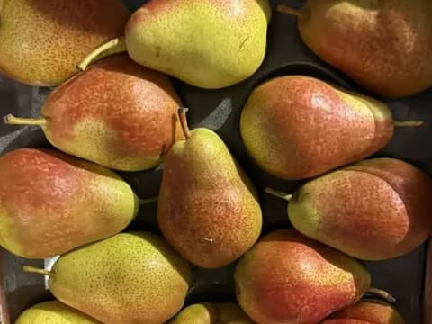 Груша сорт Форель