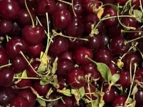 Вишня Сладкая